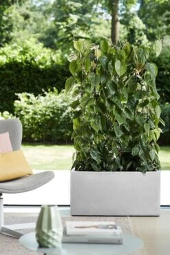 Elho Vivo Structure Finish Lang 90 - Plantenbak Voor Binnen & Buiten - Ø 88 X H 41 - Wit -Gardena Winkel 800x1200 62