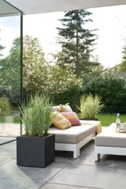 Elho Vivo Next Vierkant 40 - Plantenbak Voor Binnen & Buiten - Ø 39.0 X H 37.9 Cm - Zwart/Living Black -Gardena Winkel 800x1200 63