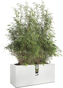 Elho Vivo Structure Finish Lang 90 - Plantenbak Voor Binnen & Buiten - Ø 88 X H 41 - Wit -Gardena Winkel 862x1200 2