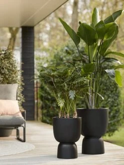 Elho Pure Coupe 41 - Bloempot Voor Binnen & Buiten - Ø 41.3 X H 57.9 Cm - Zwart/Zwart -Gardena Winkel 900x1200 1