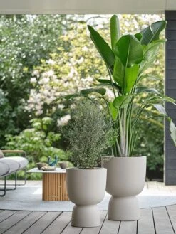 Elho Pure Coupe 41 - Bloempot Voor Binnen & Buiten - Ø 41.3 X H 57.9 Cm - Beige/Balanced Beige -Gardena Winkel 900x1200 5