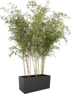 Elho Vivo Matt Finish Lang Wielen 90 - Grote Staande Plantenbak Voor Binnen & Buiten - Gemaakt Van Gereycled Plastic - L 39 X W 88 X H 41 Cm - Zwart -Gardena Winkel 911x1200