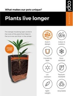 Capi Europe - Bloempot Bol Rib NL - 43x41 - Antraciet - Voor Binnen En Buiten - KOFZ933 -Gardena Winkel 916x1200 2